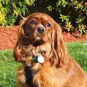 Meet your Posher, Ann marie